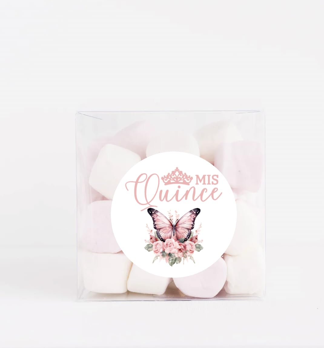 Mis Quince Anos - Quinceanera Sweet 15 Birthday Party Circle Sticker Labels