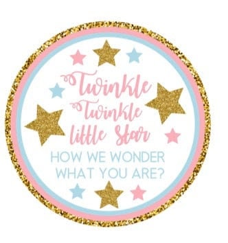 Twinkle twinkle little star stickers, twinkle twinkle little star thank you stickers, baby shower, birthday, gender reveal, personalized